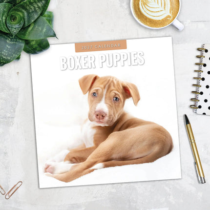 Red Robin Boxer Puppies Kalender 2027