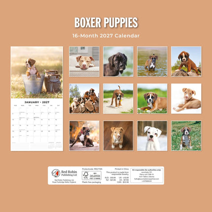 Red Robin Boxer Puppies Kalender 2027