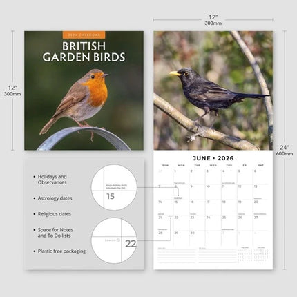 Red Robin British Garden Birds Kalender 2026