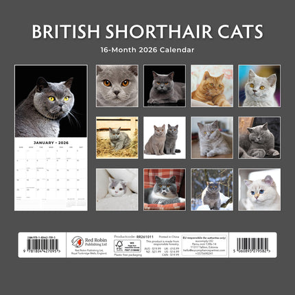 Red Robin Brits Korthaar Kalender 2026