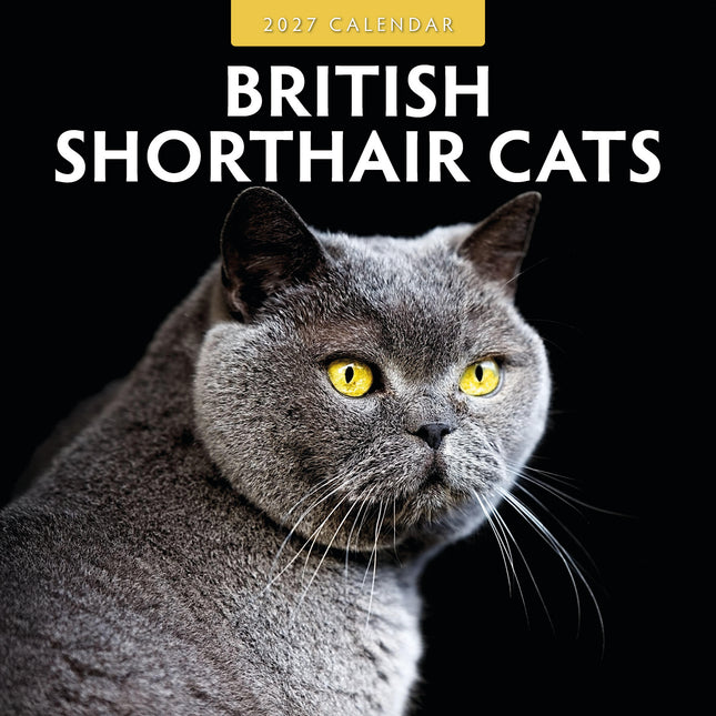 Red Robin Brits Korthaar Kalender 2027