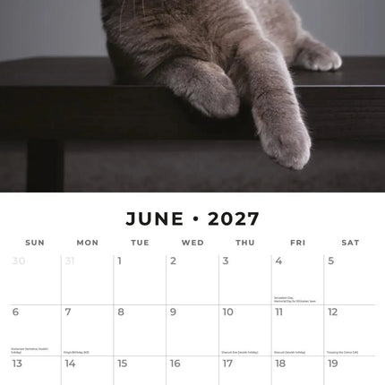 Red Robin Brits Korthaar Kalender 2027
