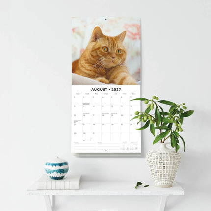 Red Robin Brits Korthaar Kalender 2027