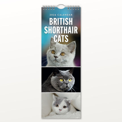 Red Robin Britse Korthaar Slimline Kalender 2026