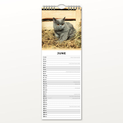 Red Robin Britse Korthaar Slimline Kalender 2026