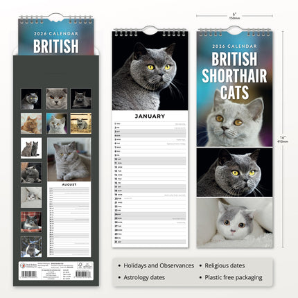Red Robin Britse Korthaar Slimline Kalender 2026
