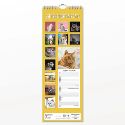 Red Robin Britse Korthaar Slimline Kalender 2027