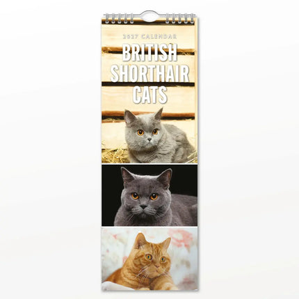 Red Robin Britse Korthaar Slimline Kalender 2027