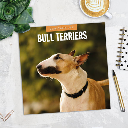 Red Robin Bull Terrier Kalender 2026