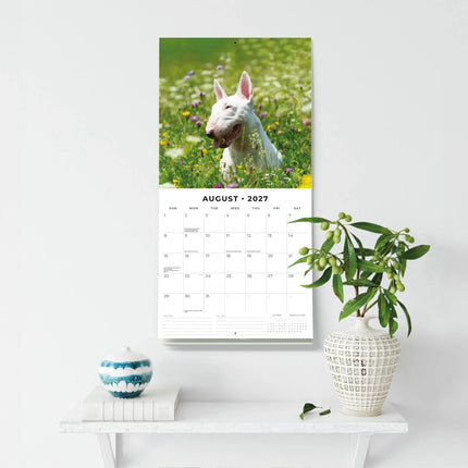 Red Robin Bull Terrier Kalender 2027