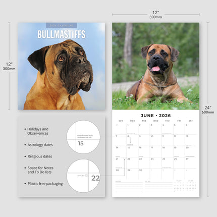 Red Robin Bullmastiff Kalender 2026