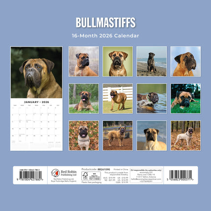 Red Robin Bullmastiff Kalender 2026