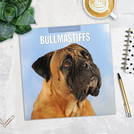 Red Robin Bullmastiff Kalender 2026