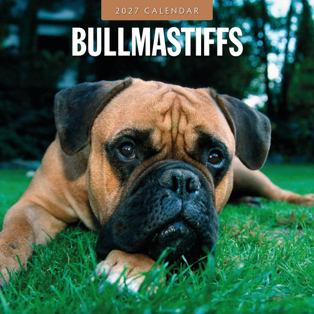 Red Robin Bullmastiff Kalender 2027