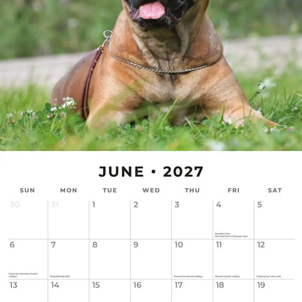 Red Robin Bullmastiff Kalender 2027