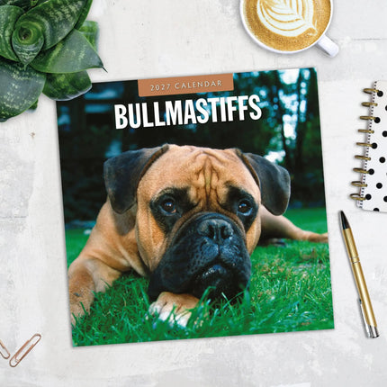 Red Robin Bullmastiff Kalender 2027