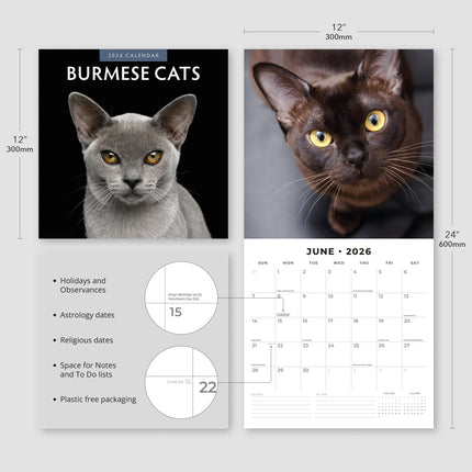 Red Robin Burmees Kalender 2026