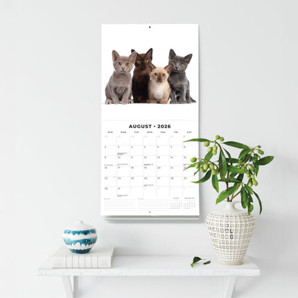 Red Robin Burmees Kalender 2026