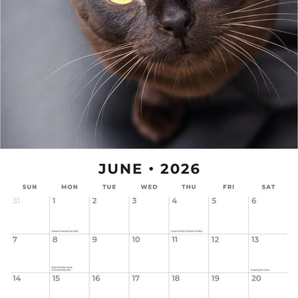 Red Robin Burmees Kalender 2026