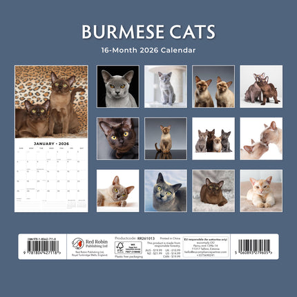 Red Robin Burmees Kalender 2026