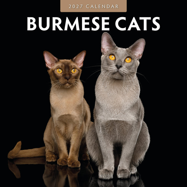 Red Robin Burmees Kalender 2027