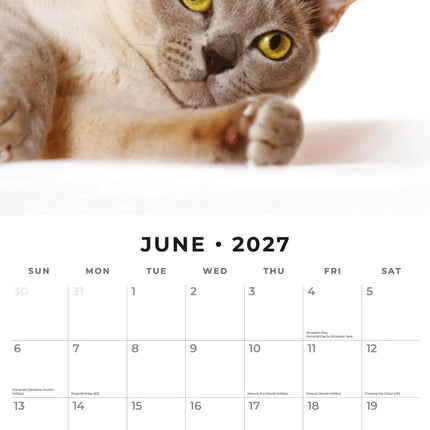 Red Robin Burmees Kalender 2027