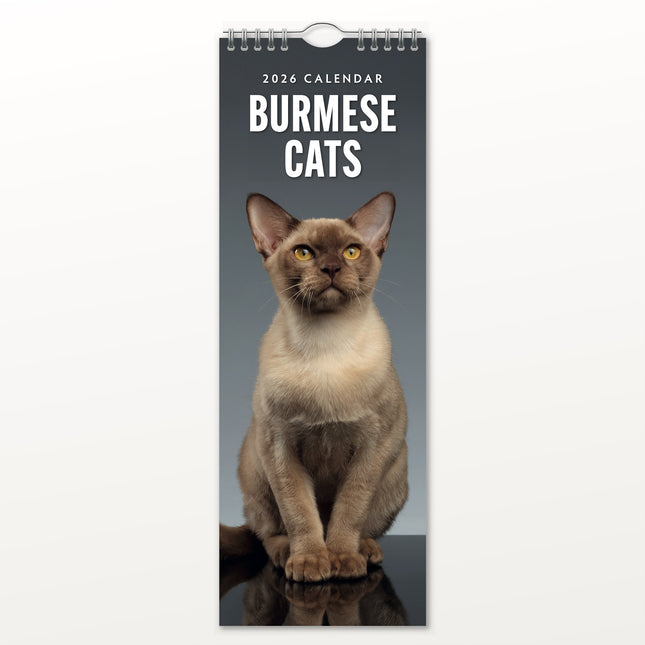 Red Robin Burmees Slimline Kalender 2026