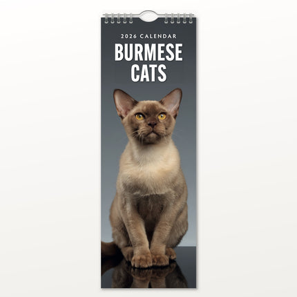 Red Robin Burmees Slimline Kalender 2026
