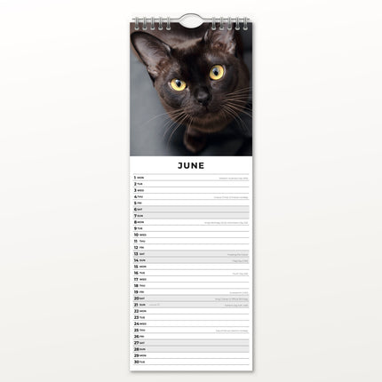 Red Robin Burmees Slimline Kalender 2026