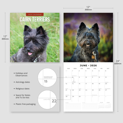 Red Robin Cairn Terrier Kalender 2026