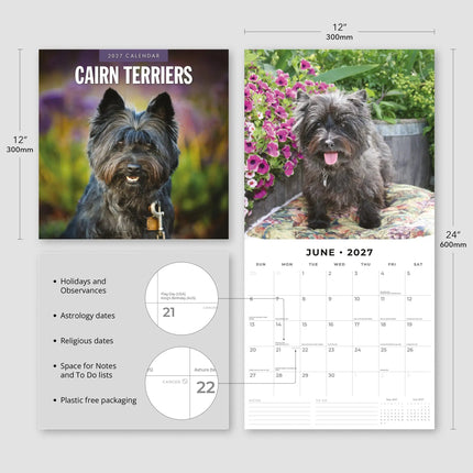 Red Robin Cairn Terrier Kalender 2027