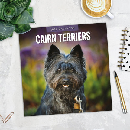 Red Robin Cairn Terrier Kalender 2027