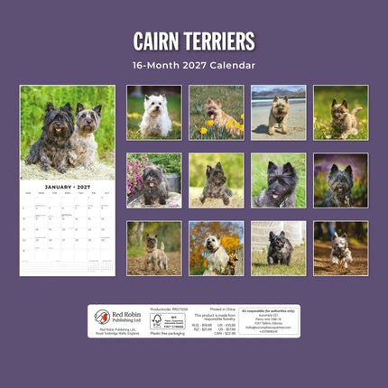 Red Robin Cairn Terrier Kalender 2027