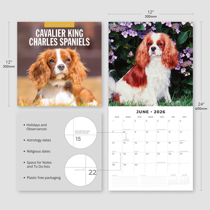Red Robin Cavalier King Charles Spaniel Kalender 2026
