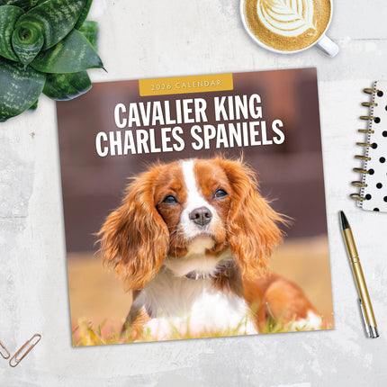 Red Robin Cavalier King Charles Spaniel Kalender 2026