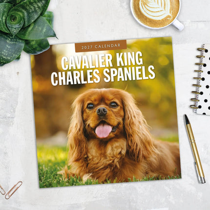 Red Robin Cavalier King Charles Spaniel Kalender 2027
