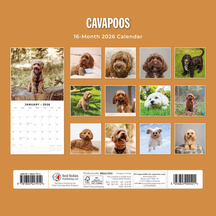 Red Robin Cavapoos Kalender 2026