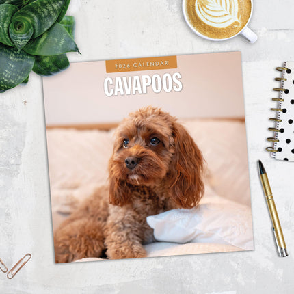 Red Robin Cavapoos Kalender 2026