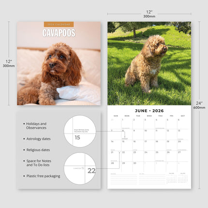 Red Robin Cavapoos Kalender 2026