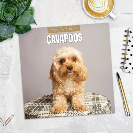 Red Robin Cavapoos Kalender 2027