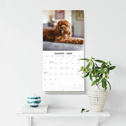 Red Robin Cavapoos Kalender 2027
