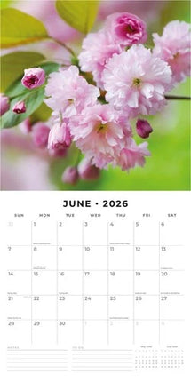 Red Robin Cherry Blossom Kalender 2026