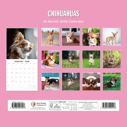 Red Robin Chihuahua Kalender 2026