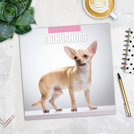 Red Robin Chihuahua Kalender 2026
