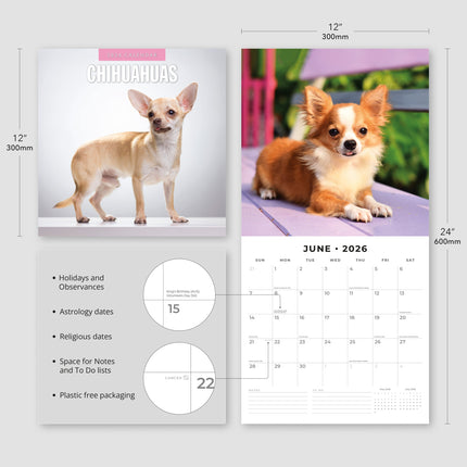 Red Robin Chihuahua Kalender 2026