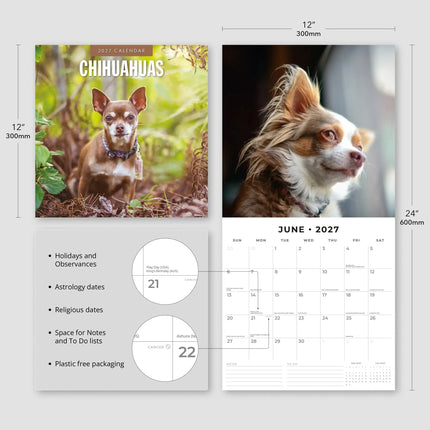 Red Robin Chihuahua Kalender 2027