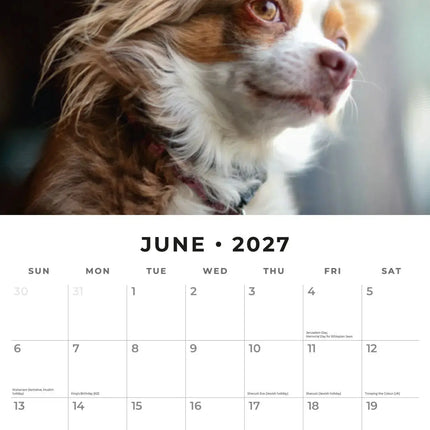 Red Robin Chihuahua Kalender 2027