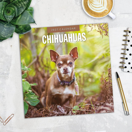 Red Robin Chihuahua Kalender 2027