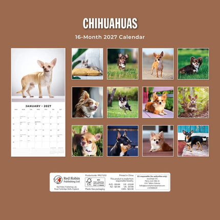 Red Robin Chihuahua Kalender 2027