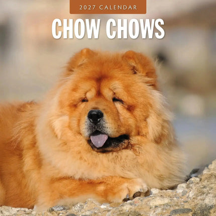 Red Robin Chow Chow Kalender 2027
